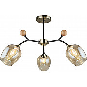 Потолочная люстра 02009-0.3-03 AB+BK
