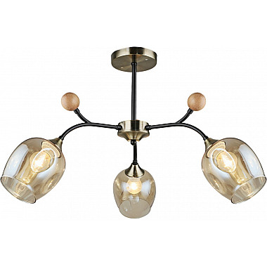 Потолочная люстра 02009-0.3-03 AB+BK