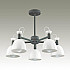 Потолочная люстра Lumion Fiona 3687/5C