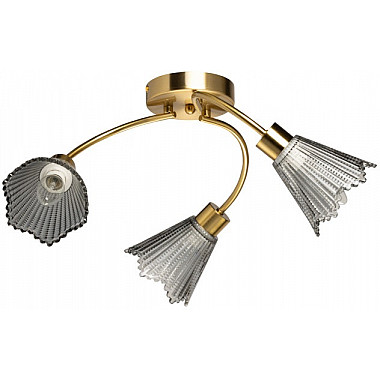 Потолочная люстра Восторг 242018103