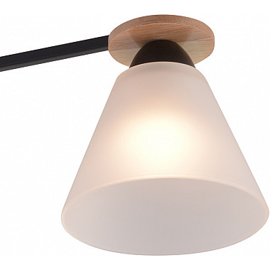 Потолочная люстра 01625-0.3-03 BK+WOOD