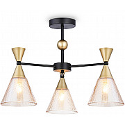 Потолочная люстра Traditional TR3169