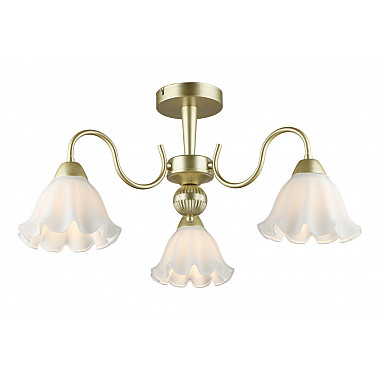 Потолочная люстра SL1N 000066037