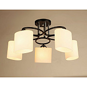 Потолочная люстра SL1N 000029920