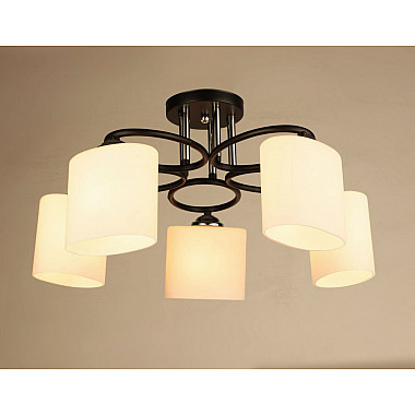 Потолочная люстра SL1N 000029920