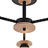 Потолочная люстра 01625-0.3-03 BK+WOOD