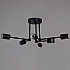 Потолочная люстра 01651-0.3-06 BK