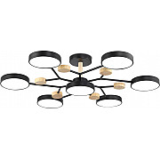 Потолочная люстра COMFORT FL4866