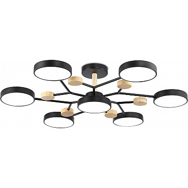 Потолочная люстра COMFORT FL4866