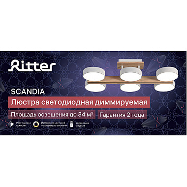 Потолочная люстра Scandia 51627 3