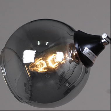 Потолочная люстра 02288-0.3-06 BK+CH