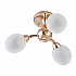 Потолочная люстра Napoli-2420 332420/3 FGD