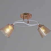 Потолочная люстра 06003-0.3-02 FG+WT