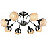 Потолочная люстра SL1N 000025755