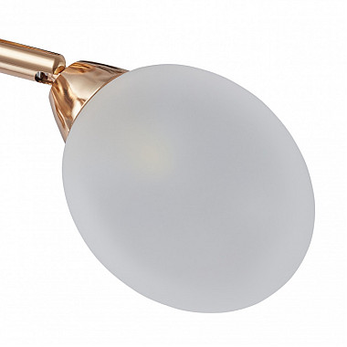 Потолочная люстра Napoli-2420 332420/3 FGD