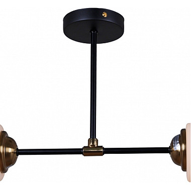 Потолочная люстра 32348-0.3-02