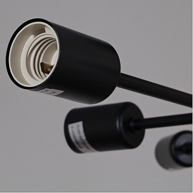 Потолочная люстра 01651-0.3-06 BK