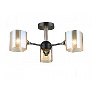 Потолочная люстра SL1N 000066020