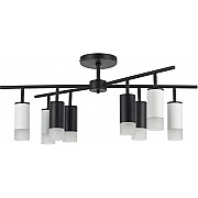 Потолочная люстра Rullo LR7283643741