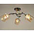 Потолочная люстра SS1N 000029954