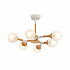Потолочная люстра Amy FR5105CL-06W