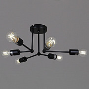 Потолочная люстра 01651-0.3-06 BK