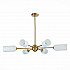 Подвесная люстра Бра ST Luce Treviso SL1180.202.06