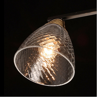 Потолочная люстра Dela 635017402