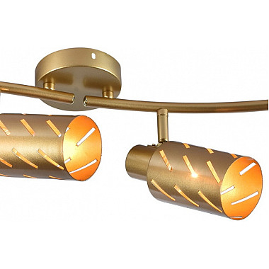 Спот 05970-0.8-04 GOLD