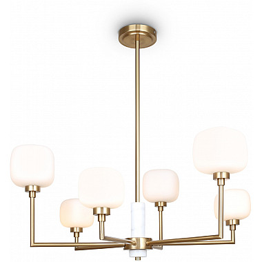 Потолочная люстра Tender FR5373CL-06BS