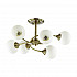 Потолочная люстра Lumion Daniella 4537/6C