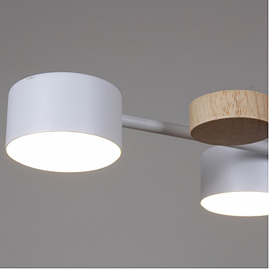 Потолочная люстра 03758-0.3-10 WT+WOOD GX53