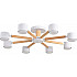 Потолочная люстра Vudi 8306/8C