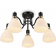 Потолочная люстра TRADITIONAL TR303307