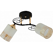 Потолочная люстра 01315-0.3-02 BK+FGD