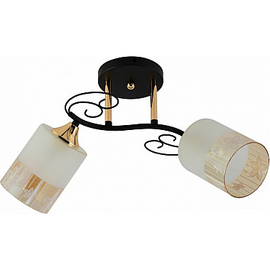 Потолочная люстра 01315-0.3-02 BK+FGD
