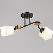 Потолочная люстра 04217-0.3-02 BK
