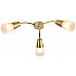Потолочная люстра Aquilegia 1100/3P Gold