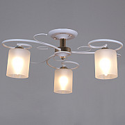 Потолочная люстра 00738-0.3-03