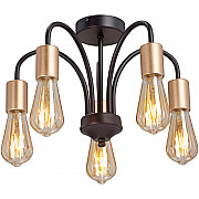 Потолочная люстра V3024-1/5PL