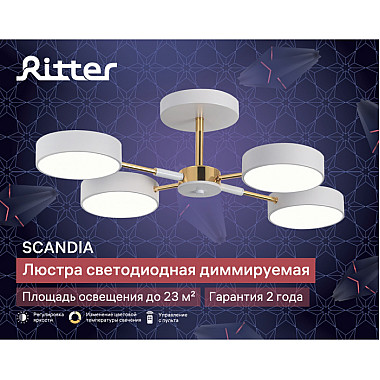 Потолочная люстра Scandia 51628 0