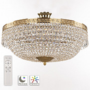 Потолочная люстра 1901 19011/55IV/LED-DIM G