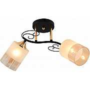 Потолочная люстра 01315-0.3-02 BK+FGD