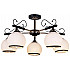 Потолочная люстра 52134-0.3-05A