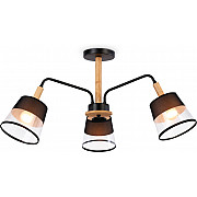 Потолочная люстра Modern Losk TR4740