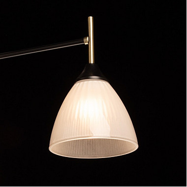 Потолочная люстра Дэла 116010405