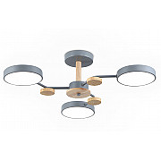 Потолочная люстра COMFORT FL4856