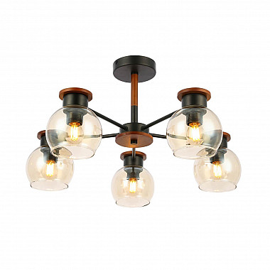 Потолочная люстра Evoluce Rasco SLE108102-05