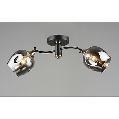 Потолочная люстра SL1N 000065854