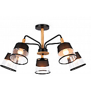 Потолочная люстра Modern Losk TR4741